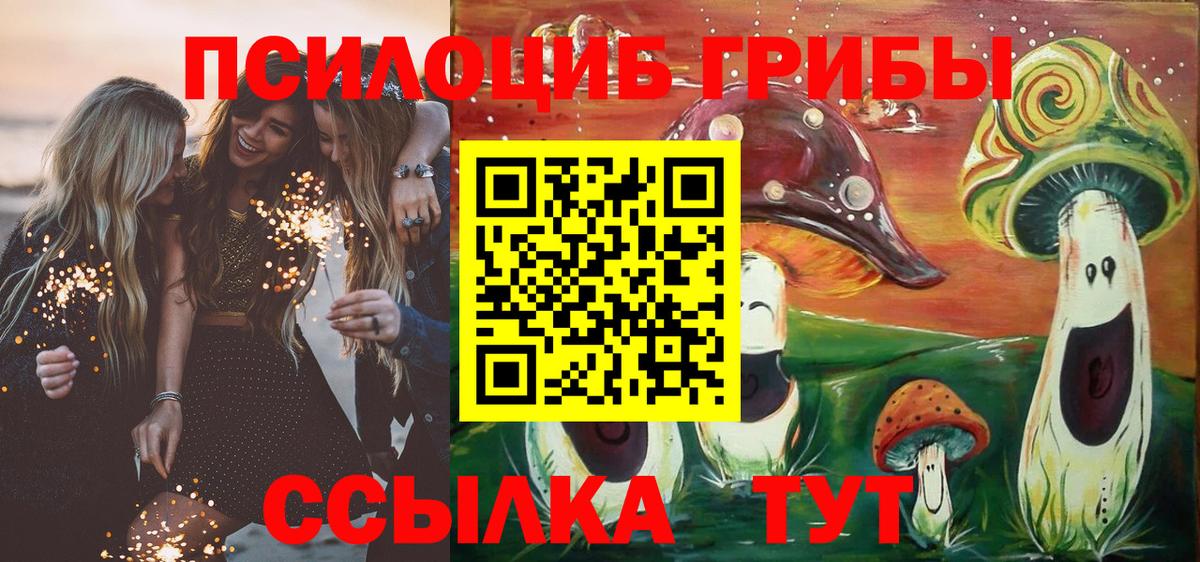 Камышлов  купить наркотики цена  Вход с VPN  Псилоцибиновые грибы Cubensis 