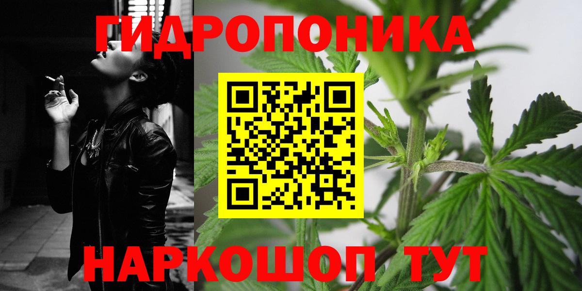 МАРИХУАНА ГИДРОПОН  Каннабис план  Камышлов  Вход с VPN 