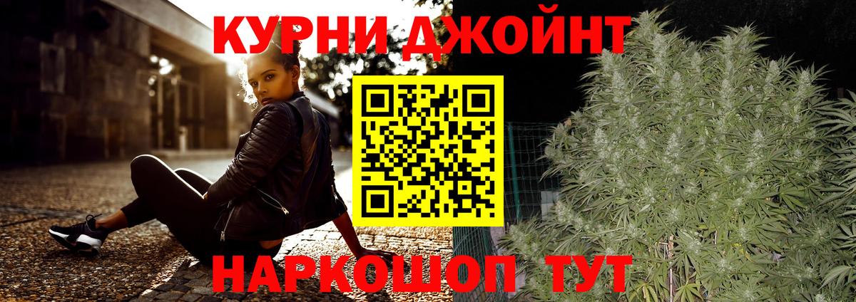 МАРИХУАНА план Камышлов